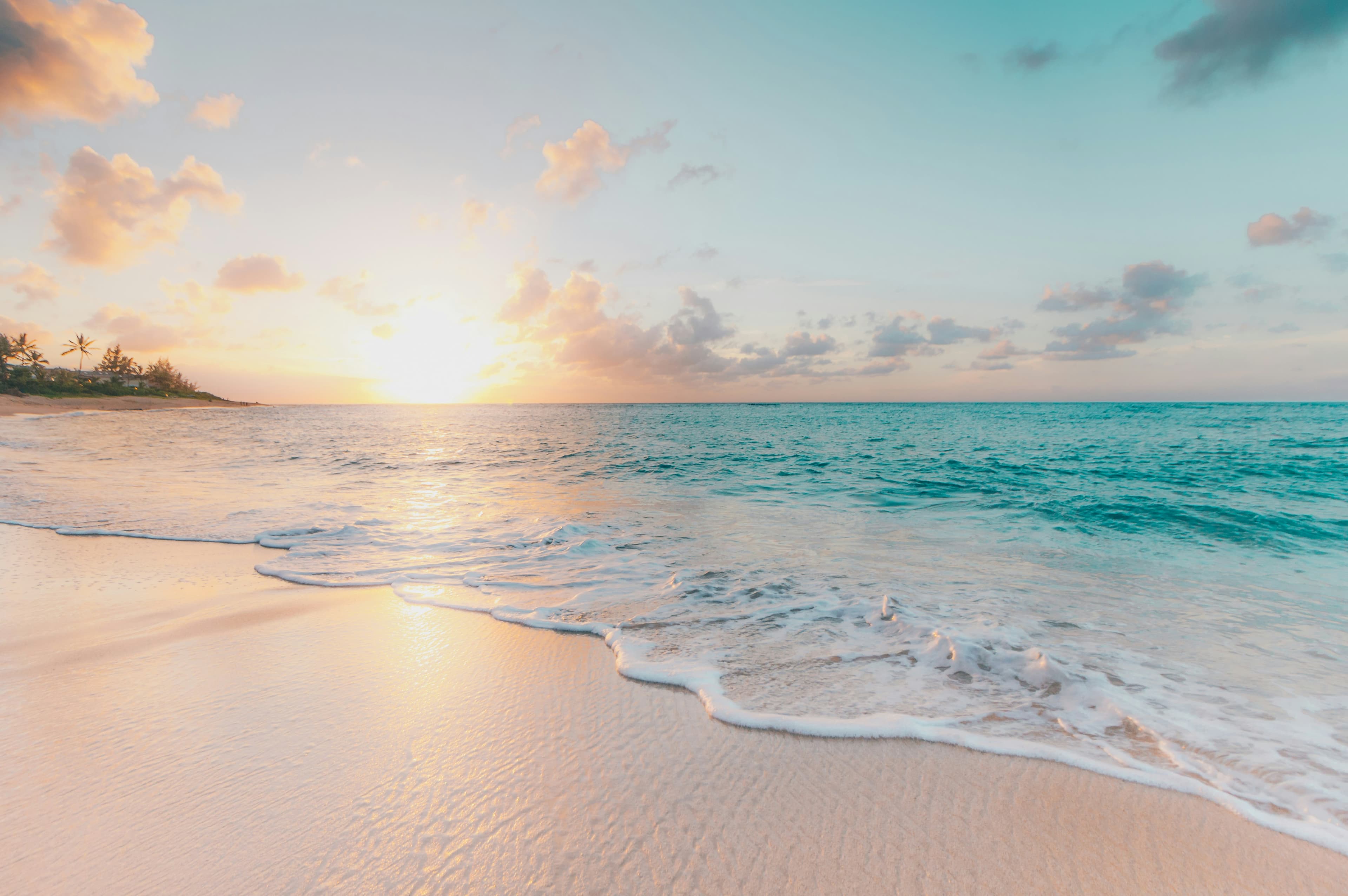 Coastal Haven
