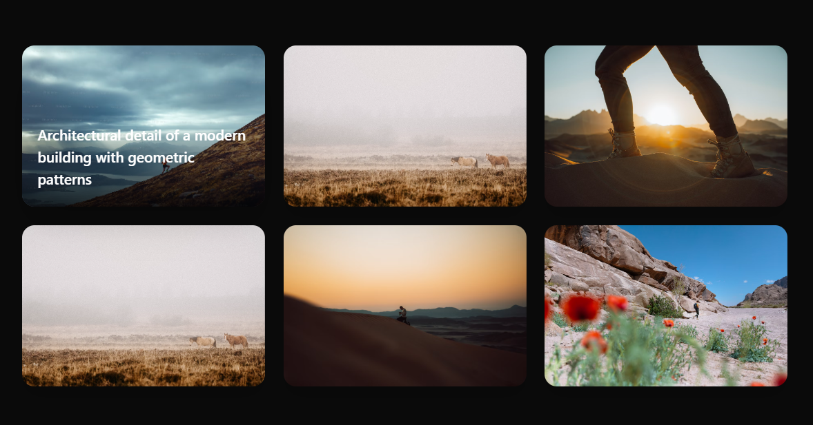 Image Gallery